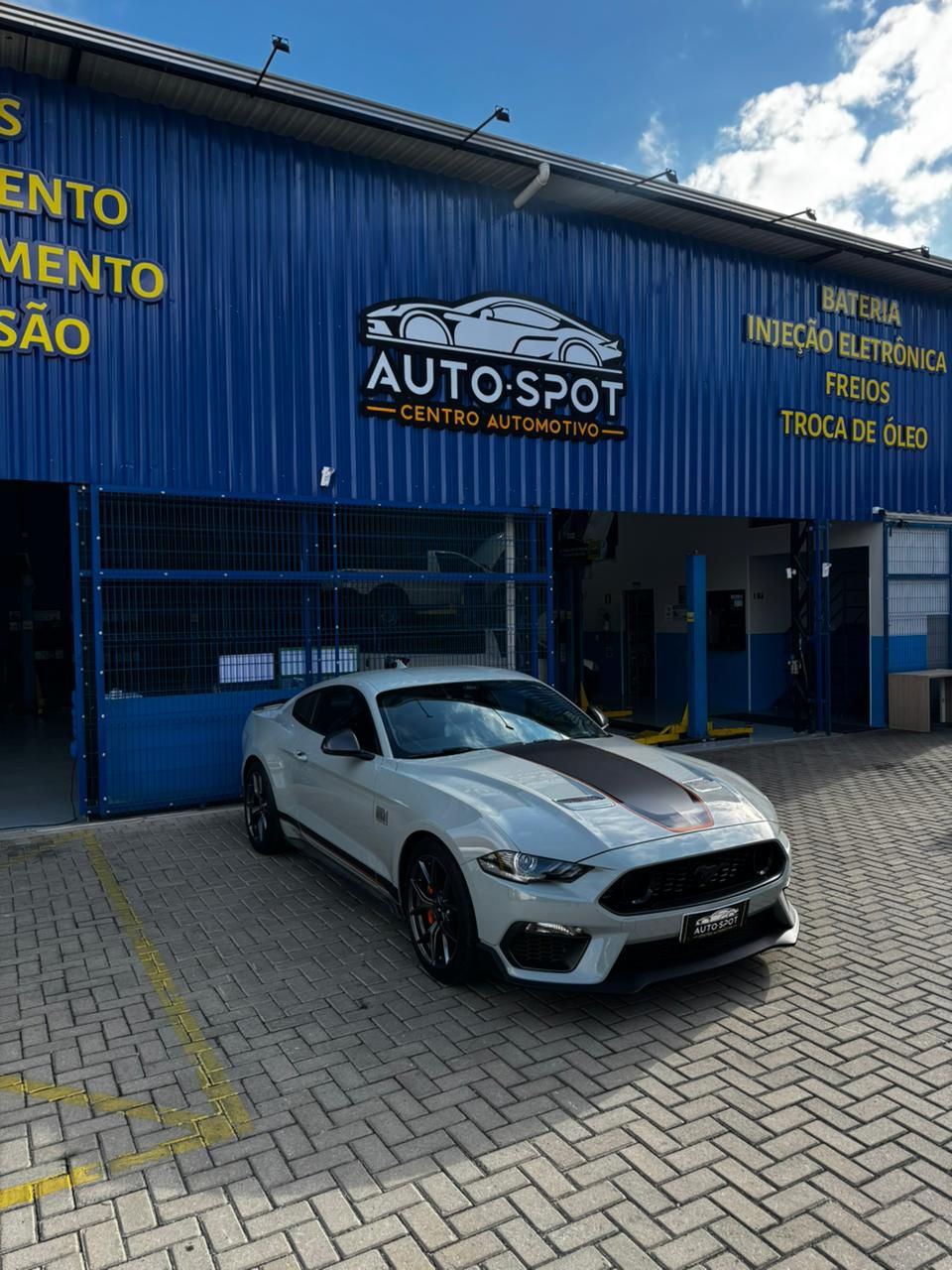 WhatsApp Image 2026-02-04 at 16.55.52 (2)